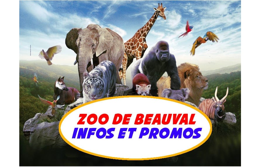 Zoo de Beauval Infos et promos pour un séjour réussi