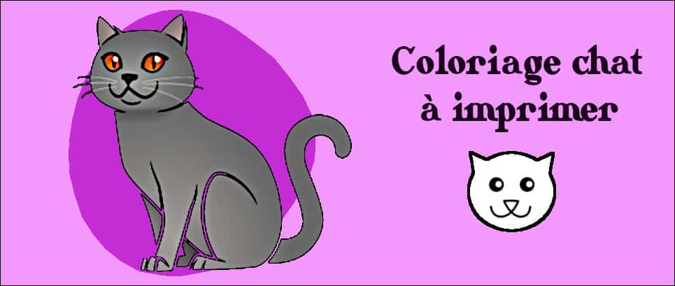 Coloriage Chat Gratuit Images A Imprimer Et A Colorier