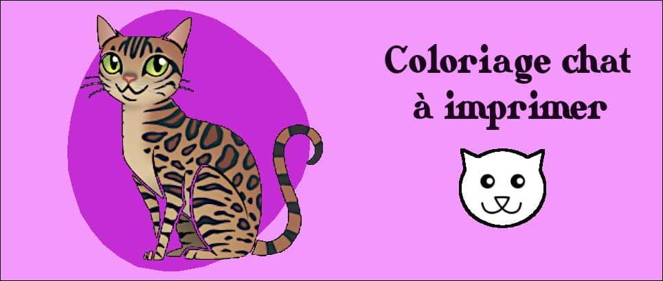 images de tête de chat à colorier