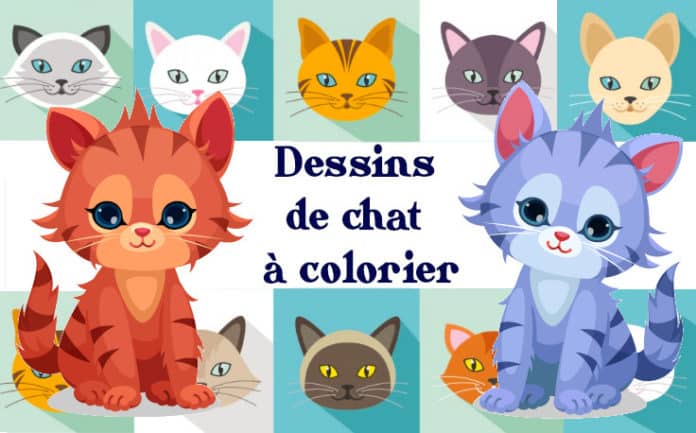 Coloriage Chat 40 Images A Imprimer Et A Colorier Gratuitement