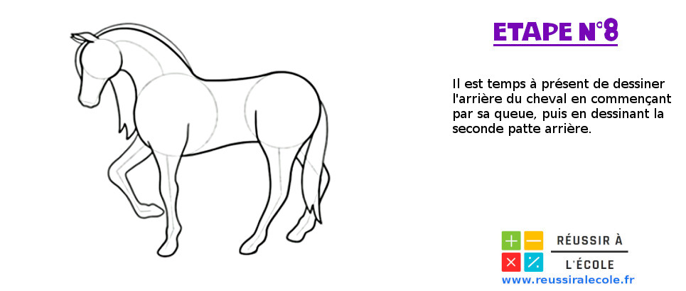 comment dessiner un cheval réaliste
