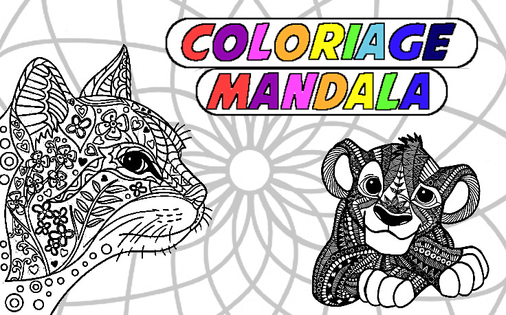 Cahier de Coloriage Mandala Facile: Livre de Coloriage Adulte anti stress  avec de beaux Mandalas simple et facile à colorier pour découvrir l'art