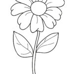 fleur dessin facile
