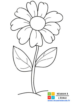 fleur dessin facile