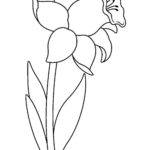 dessin fleur facile