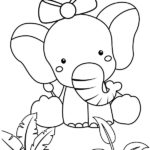 elephant dessin