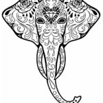 elephant dessin