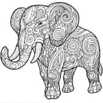 elephant dessin