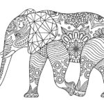 elephant dessin