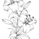 dessin bouquet de fleurs