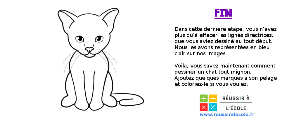 Comment Dessiner Un Chat Astuces Et Tuto Video