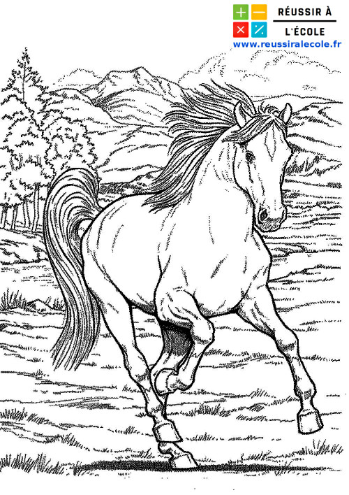 Coloriages De Chevaux Sauvages