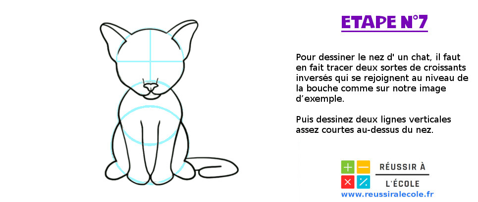 comment dessiner un chat réaliste