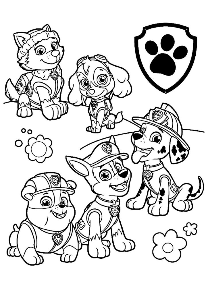 Dessin De La Pat Patrouille Dessin Pat Patrouille : 22 dessins à imprimer gratuitement