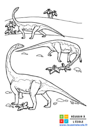 dinosaure dessin