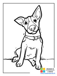 coloriage chien