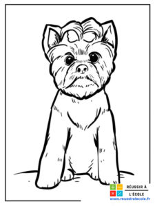 coloriage chien