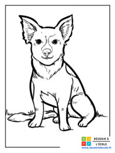 coloriage chien