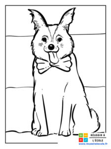 coloriage chien