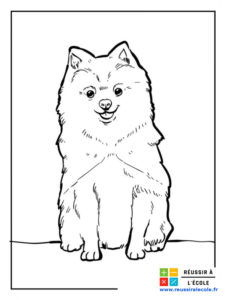 coloriage chien