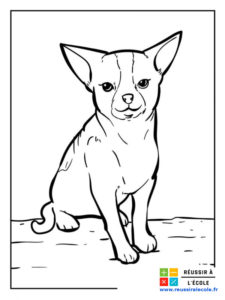 coloriage chien