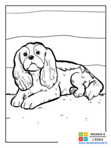 coloriage chien