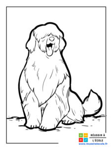 coloriage de chien