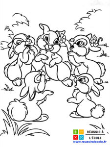 coloriage de lapin