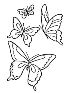 coloriage de papillon