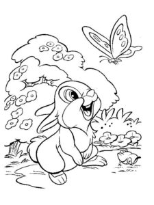 coloriage lapin