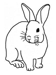 coloriage lapin