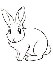 coloriage lapin