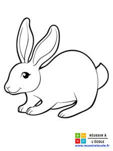 coloriage lapin