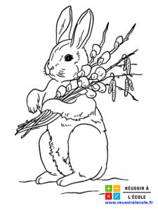 coloriage lapin