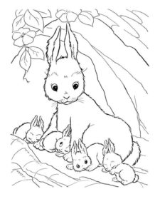 coloriage lapin de paque