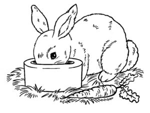 coloriage lapin de paques