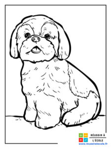 coloriage petit chien