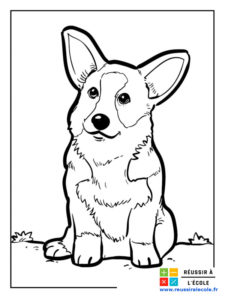 coloriages petits chiens