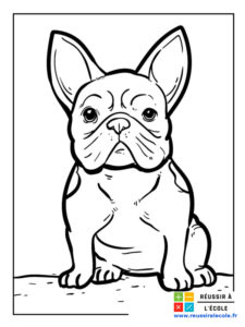 coloriage petit chien