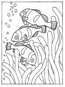 coloriage poisson