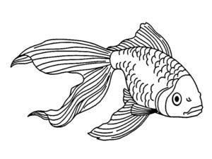 coloriages poissons