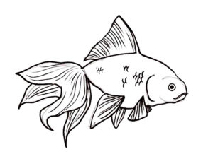 coloriage poisson