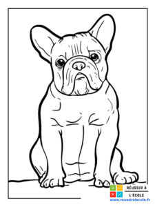 Coloriage Chien  30 superbes images à colorier gratuitement