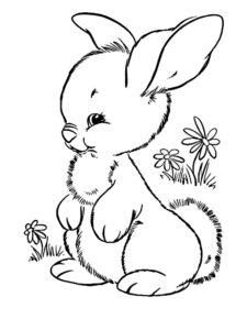 lapin coloriage