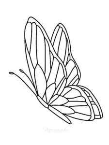 papillon coloriage