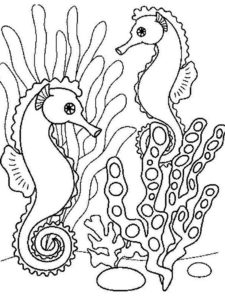 poisson coloriage