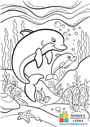 animaux coloriage