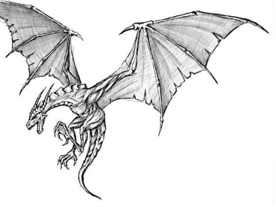 image dragon