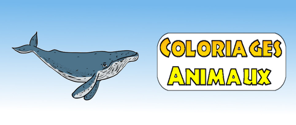 animaux mer coloriage