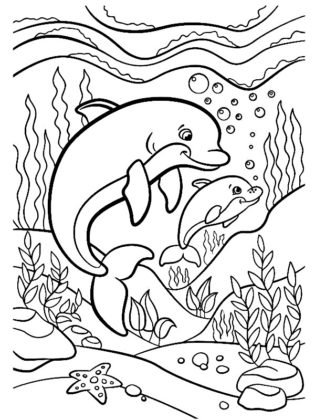 coloriage d'animaux marins